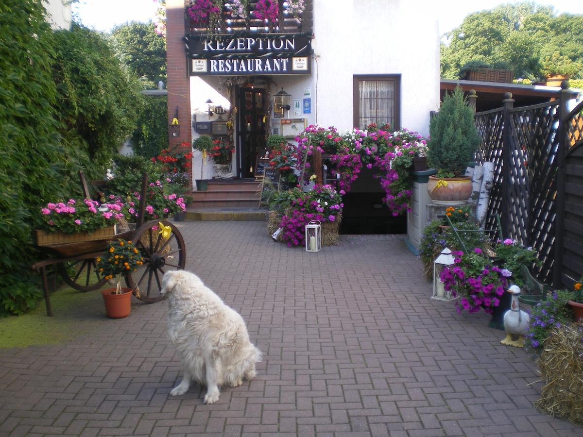 Hotel Am Berg Spremberg Exterior photo